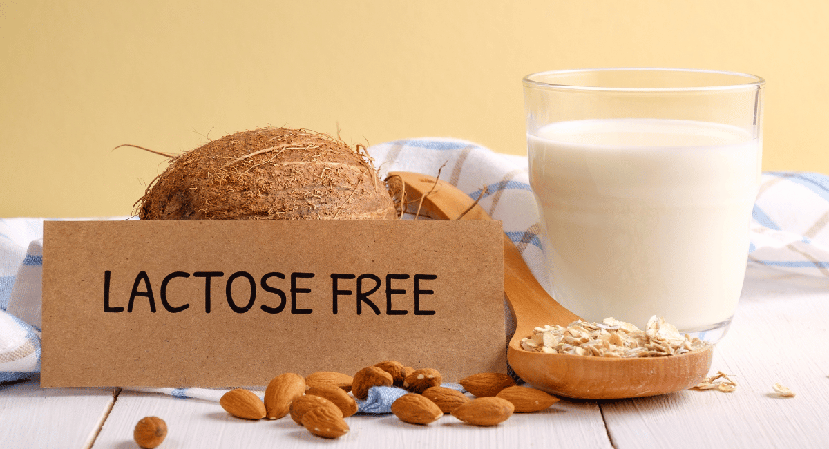 You are currently viewing Lactose-Free Diet
