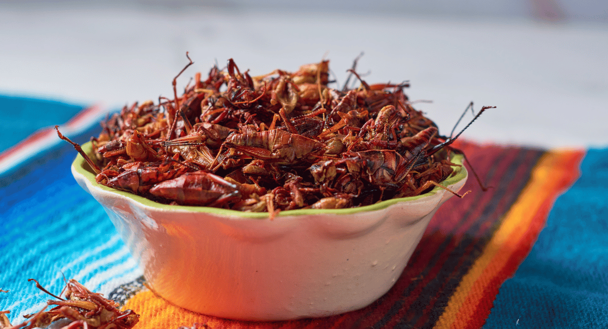 You are currently viewing How to Cook Chapulines