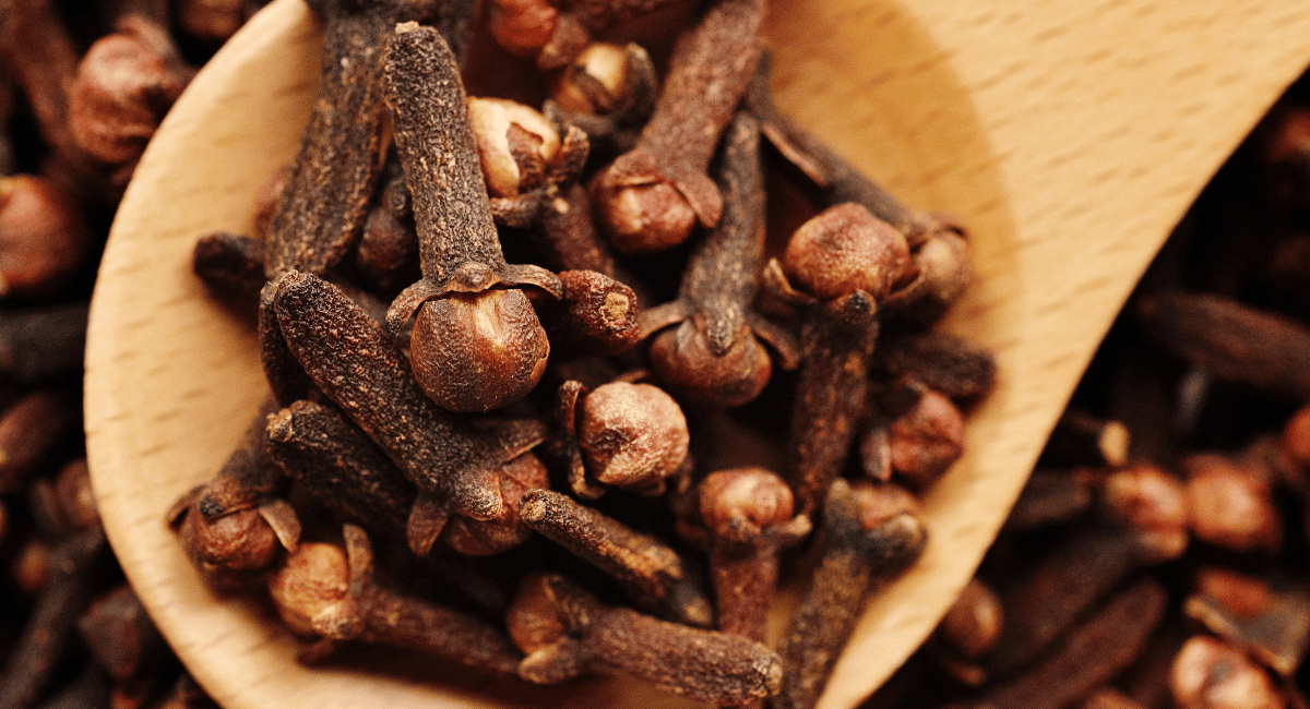 You are currently viewing What are Cloves? How are they used in Mexican Cuisine?