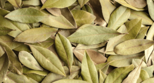 Read more about the article What are Bay Leaves? How are Bay Leaves used in Mexican Cuisine?