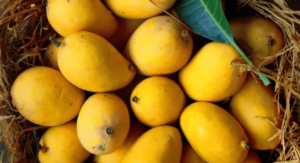 Read more about the article What are Mangoes? How are they used in Mexican Cuisine?