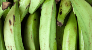 Read more about the article What are Plantains? How are they used in Mexican Cuisine?