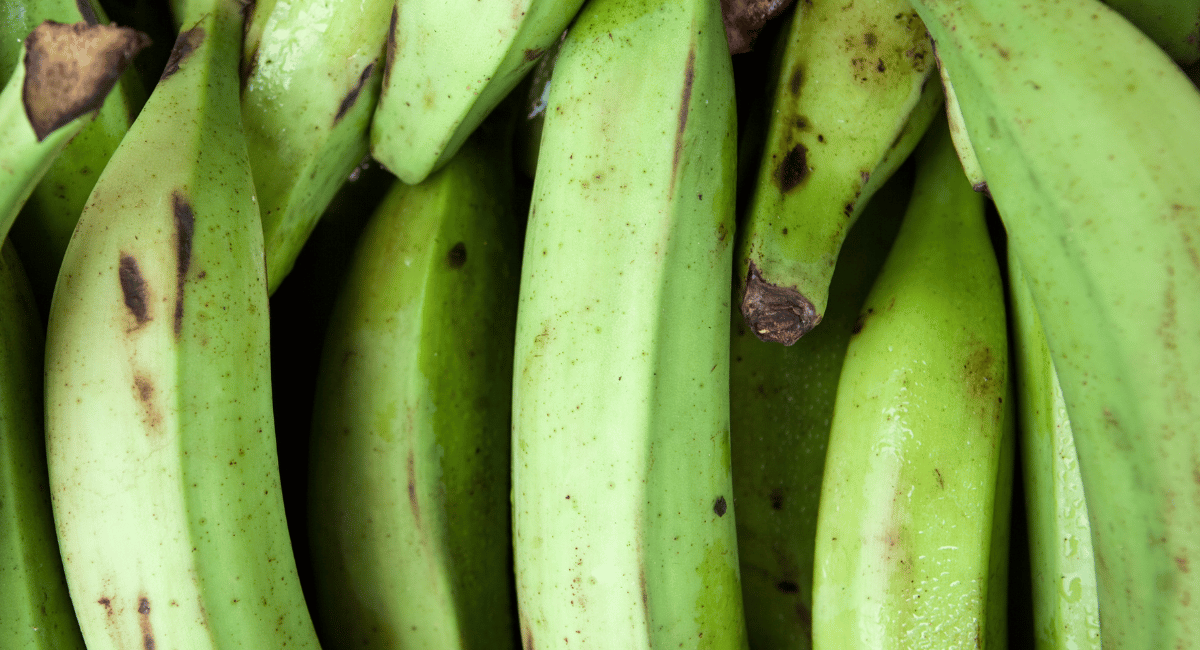 You are currently viewing What are Plantains? How are they used in Mexican Cuisine?