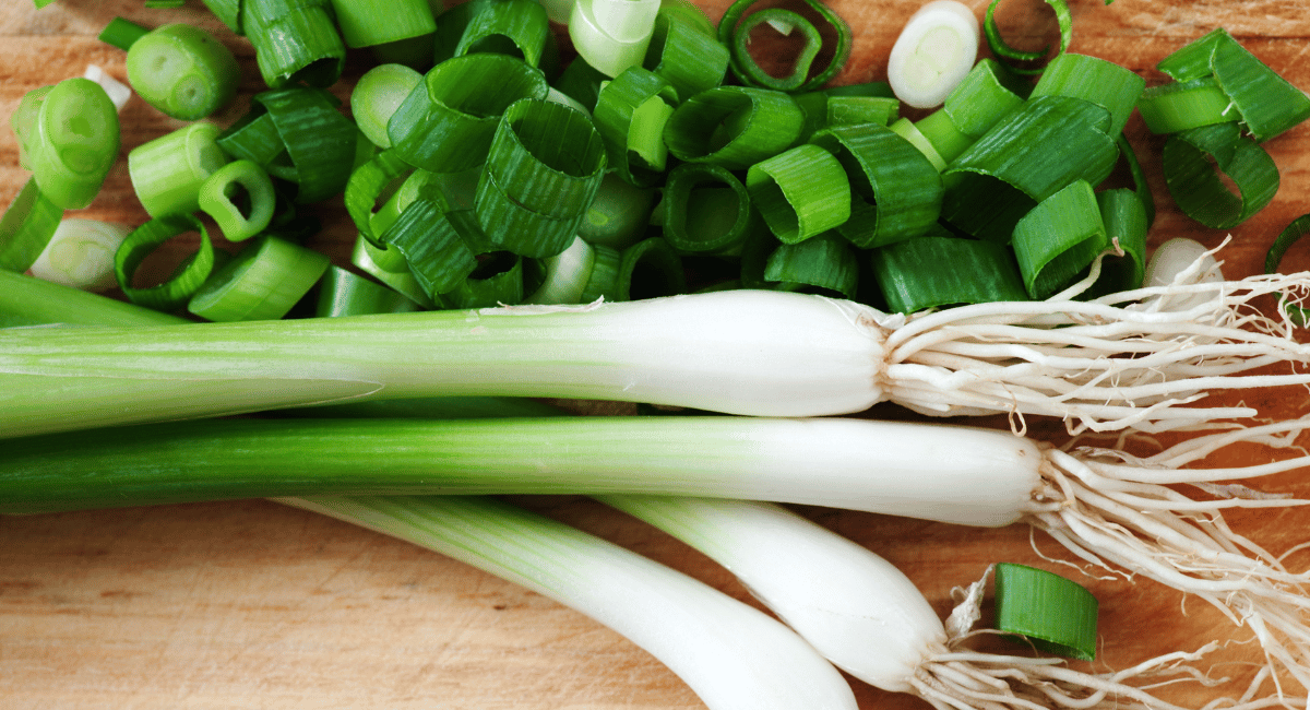 You are currently viewing What are Green Onions?