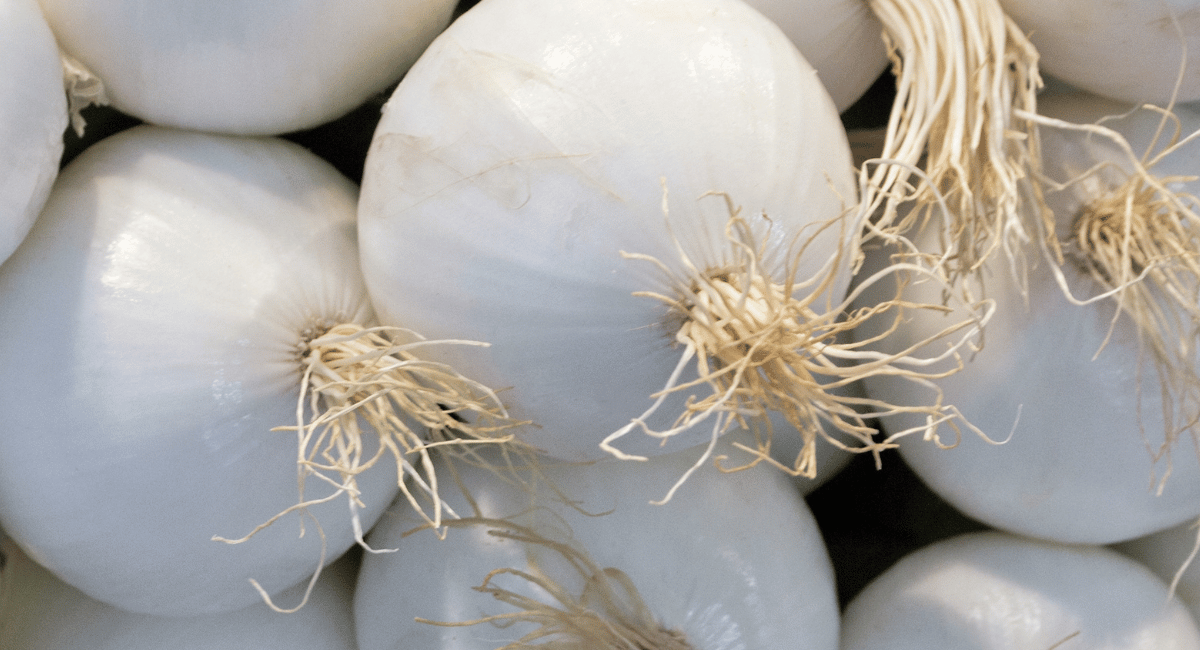 You are currently viewing What are White Onions? How to use them in Mexican Cuisine?