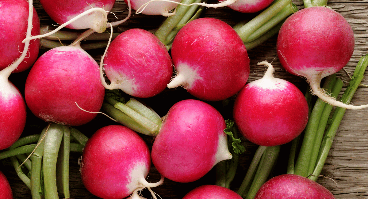Read more about the article What are Radishes? How are they used in Mexican Cuisine?