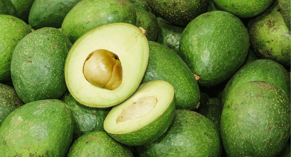 You are currently viewing What are Avocados? How are they used in Mexican Cuisine?