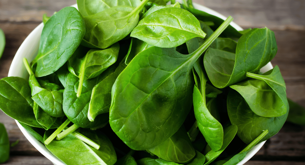 You are currently viewing What is Spinach? How is Spinach used in Mexican Cuisine?