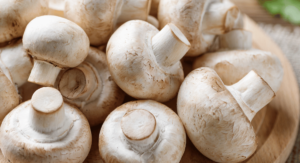 Read more about the article What are Mushrooms? How are they used in Mexican Cuisine?