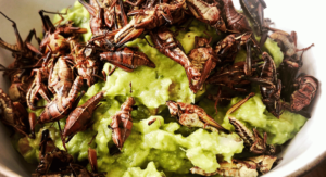 Read more about the article Guacamole con Chapulines